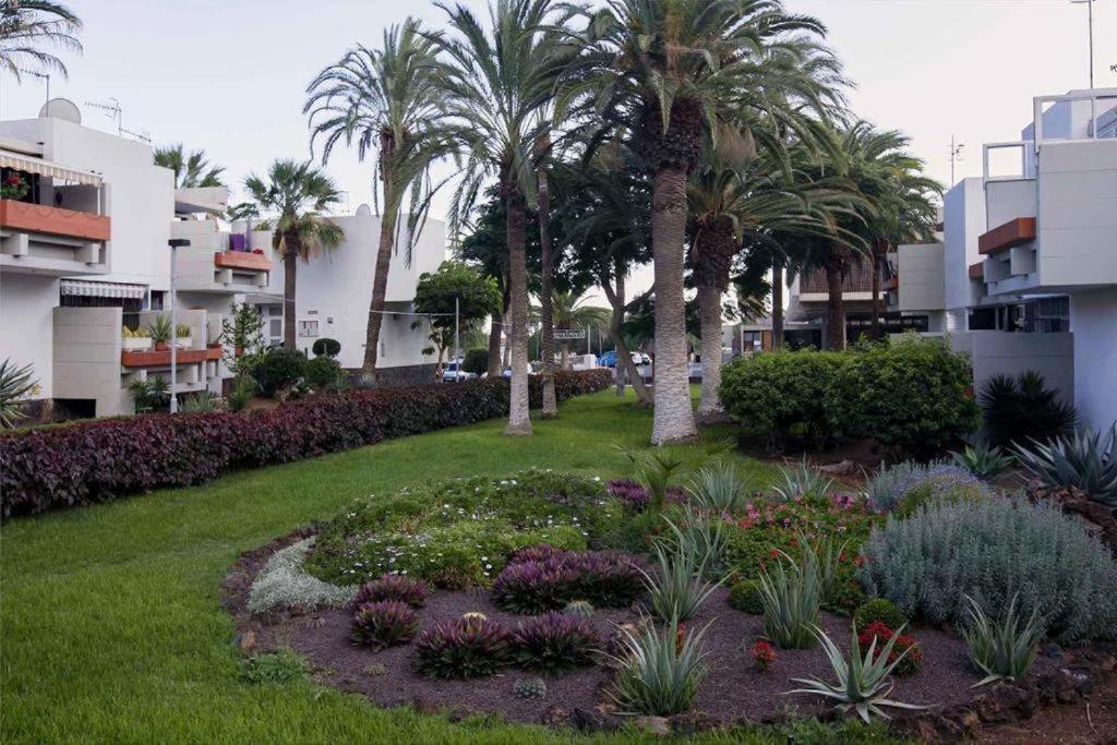 Tenerife Primavera Арона Екстер'єр фото